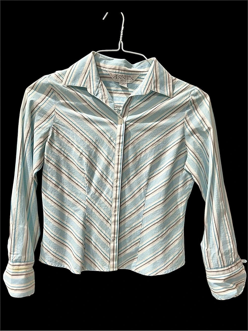 Annex Striped Cotton Button Down in Blue & White Petite 2 Like New